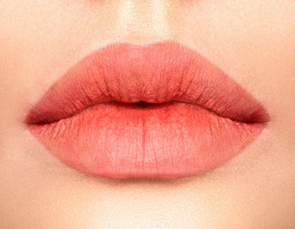 Matte Pigment Lipgloss